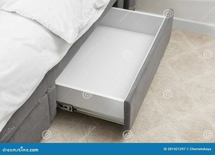 Nodax Under Bed Storage Drawers – Organizer Box for Bed Frames, Bedroom ...